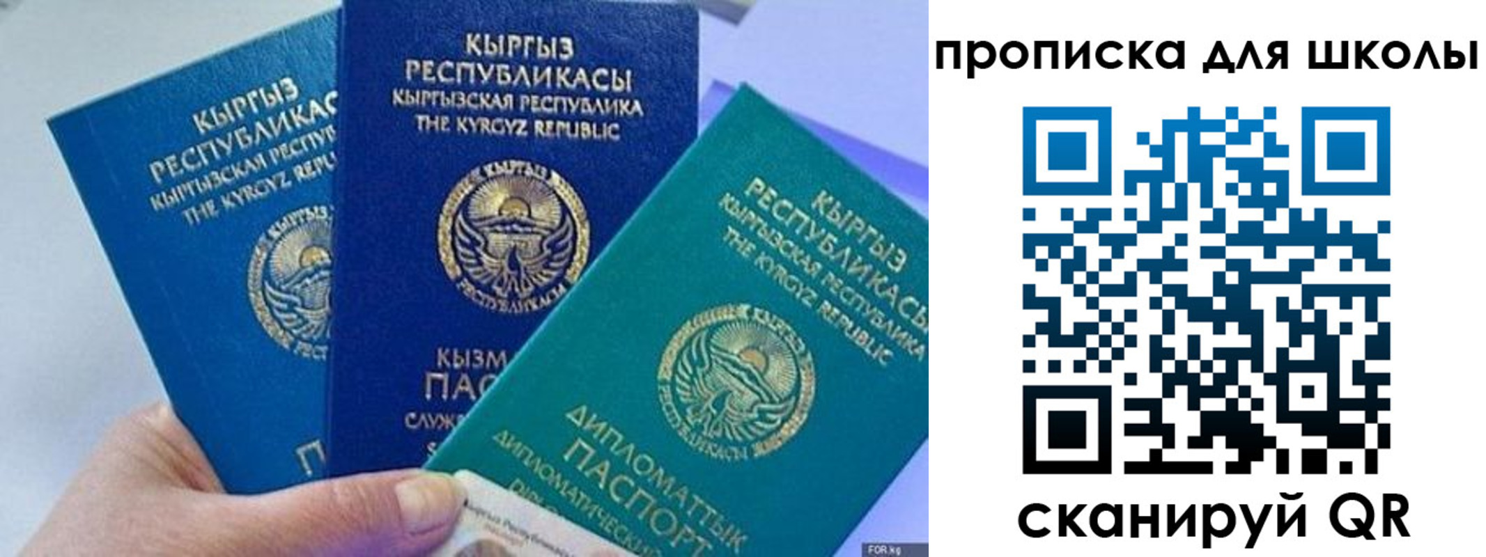 прописка регистрация в Долгопрудном